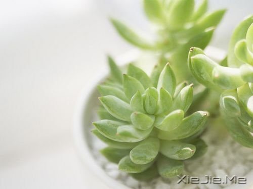早安心语：路过的快乐，只有自己知道 (2)