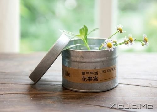 早安心语：路过的快乐，只有自己知道 (5)