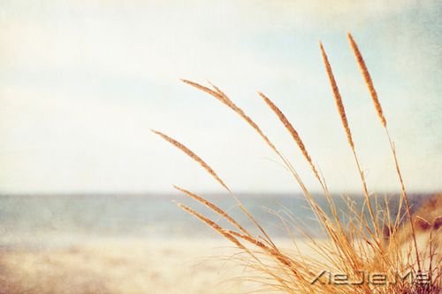 晚安心语：最美好的总会在不经意间出现 (3)