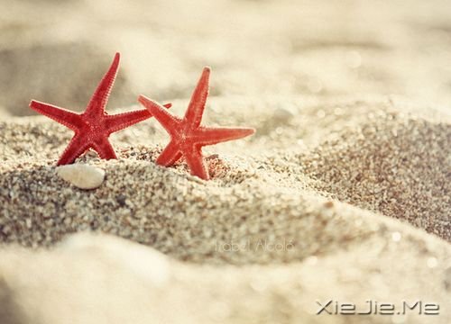早安心语：跟随自己的内心与直觉 (10)
